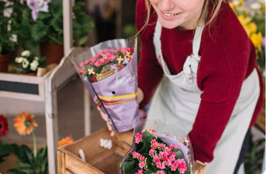 Seasonal Blooms to Brighten Your Home: A Local Guide by Your Florist Kew