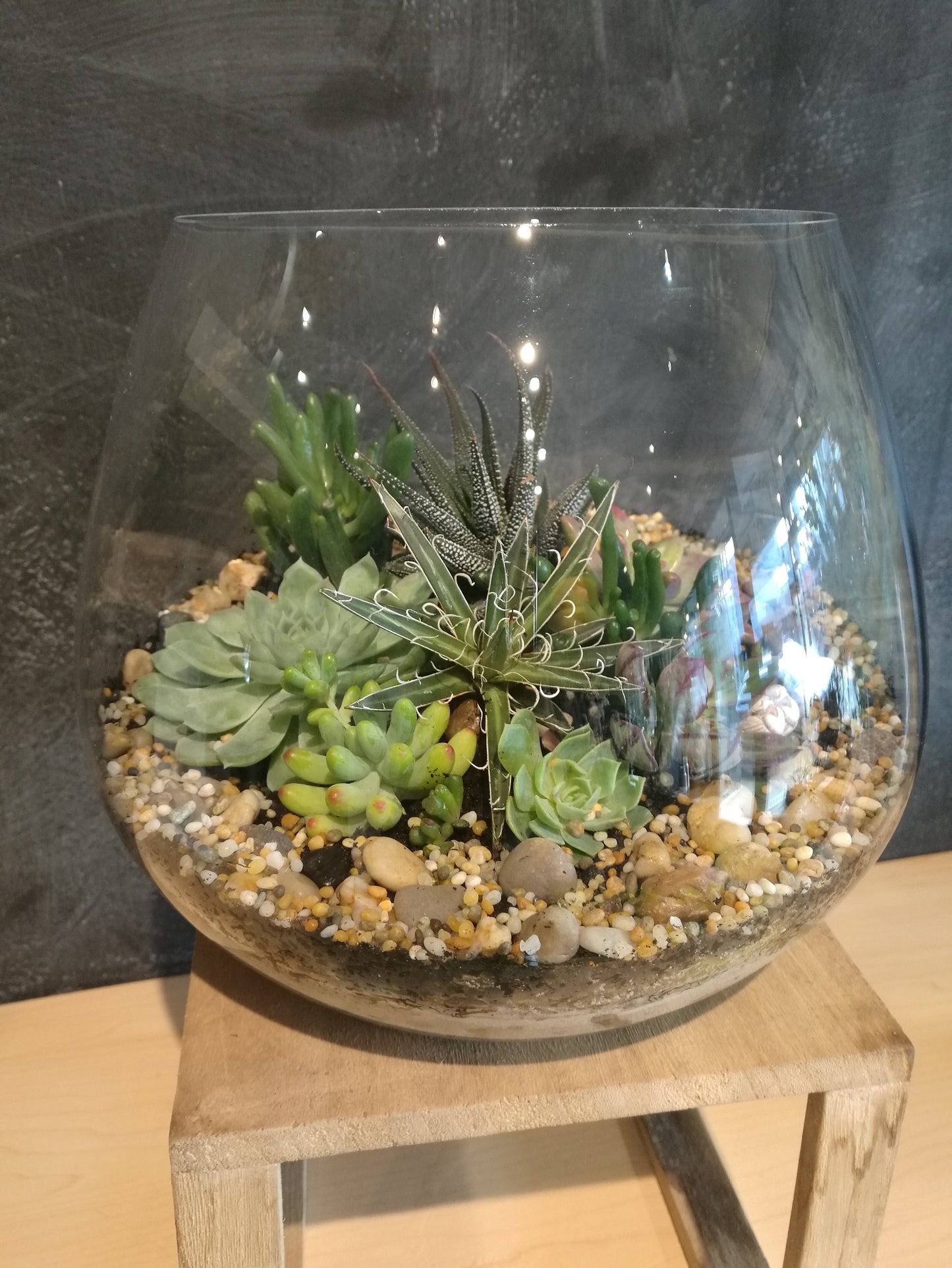 Large Glass Bowl Terrarium