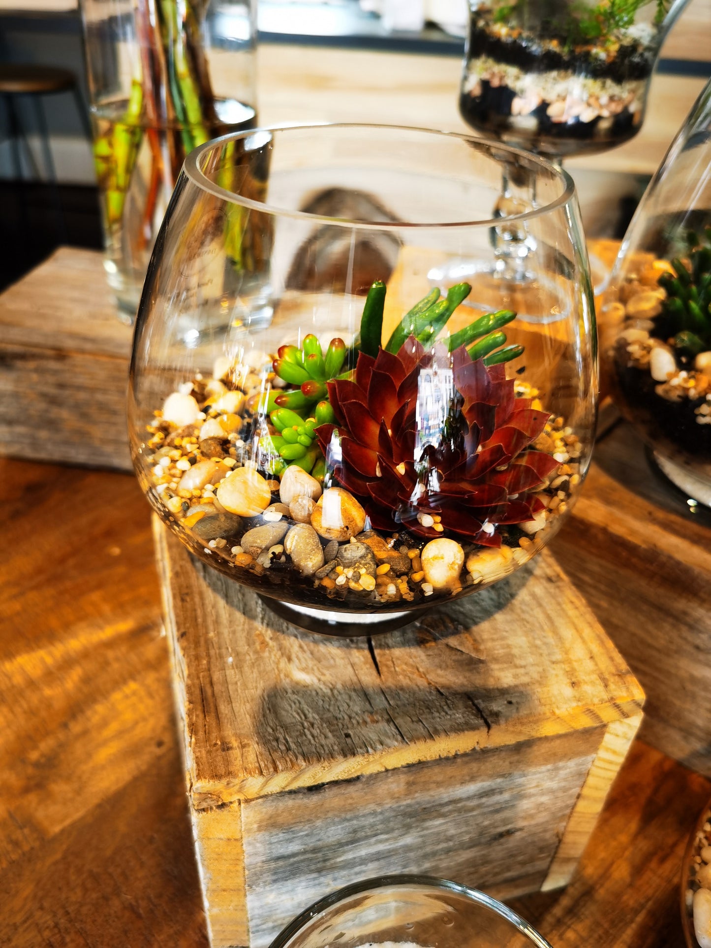 Mini fish bowl terrarium