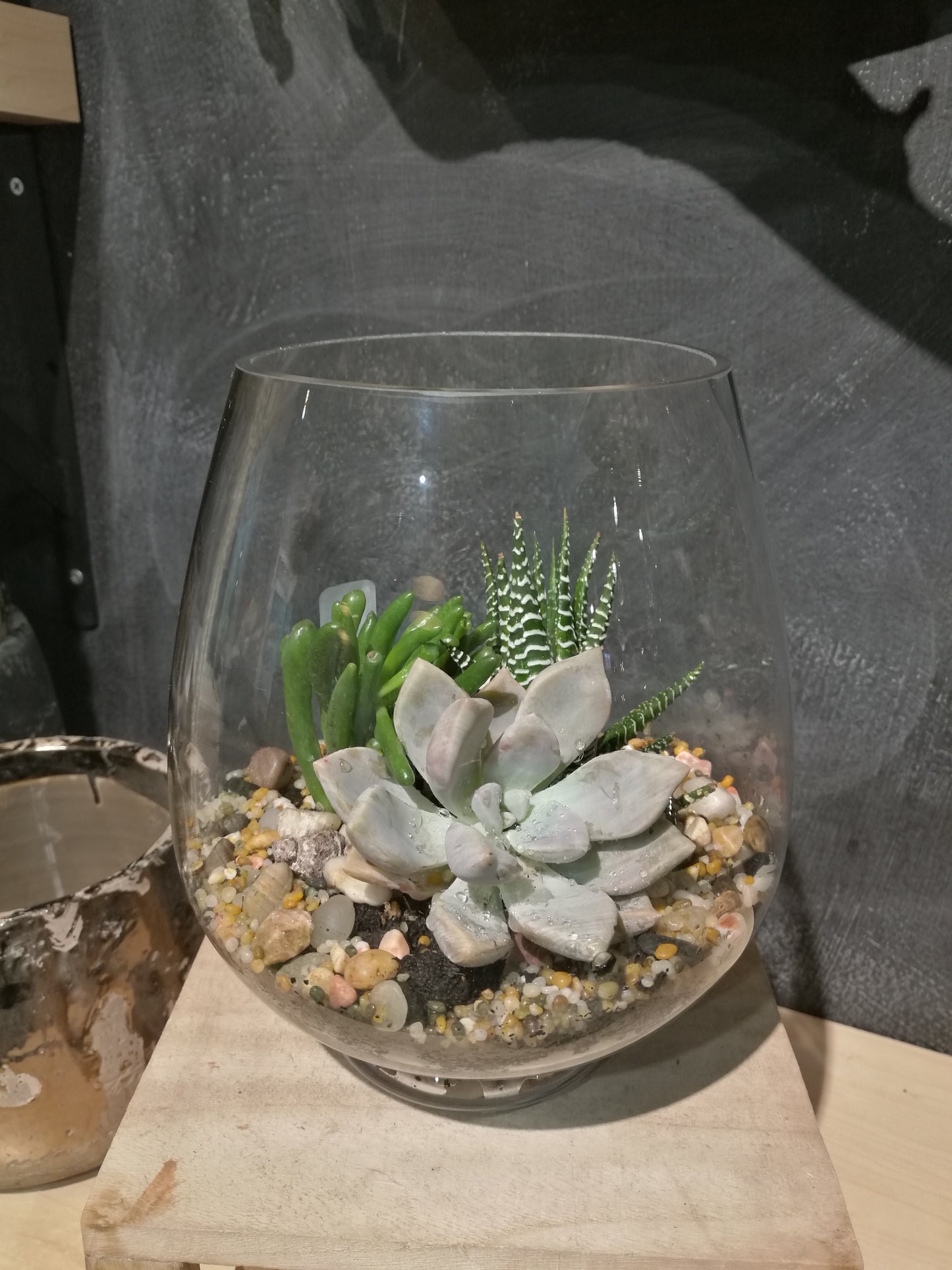 Mushroom fish bowl