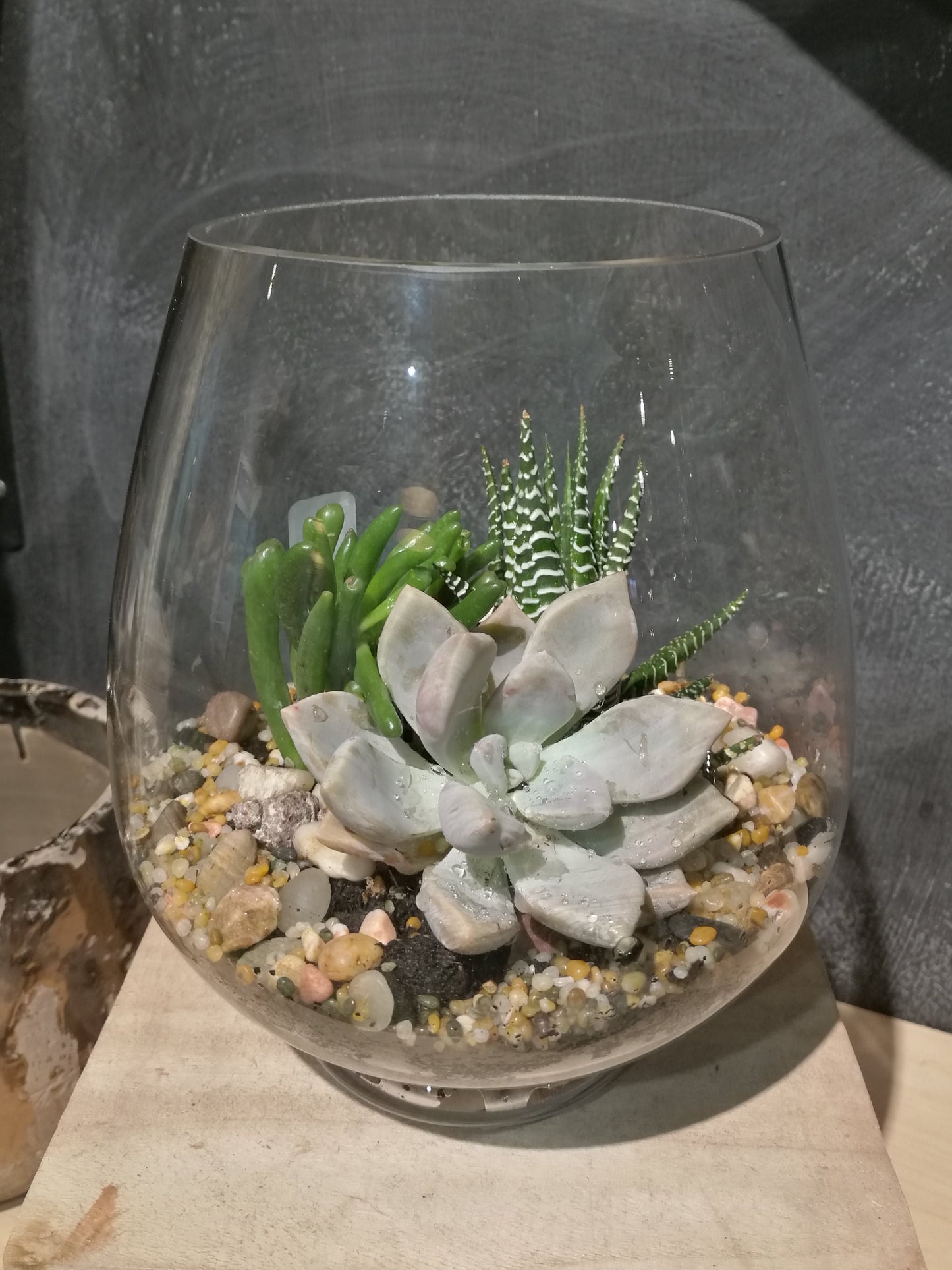 A clear glass fish bowl with a collection of small plants and pebbles designed to resemble a terrarium.