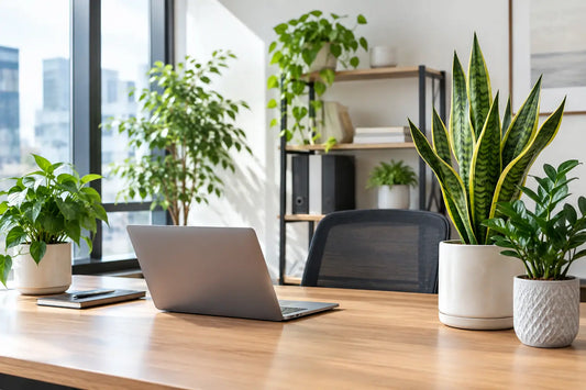12 Best Indoor Plants for Offices That Look Refined