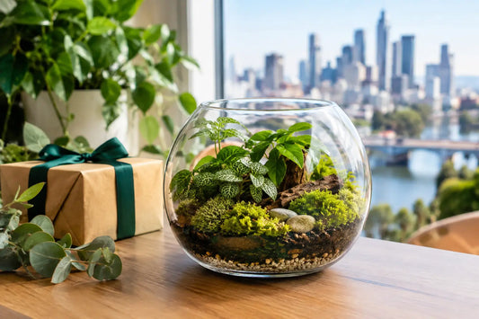 Terrarium Gifts That Keep Giving in Melbourne