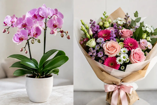 Orchids Versus Bouquets for Every Occasion