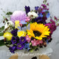 Colorful-Eye-Catching-Blossoms
