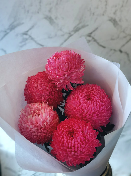 Mum Disbud Bunch