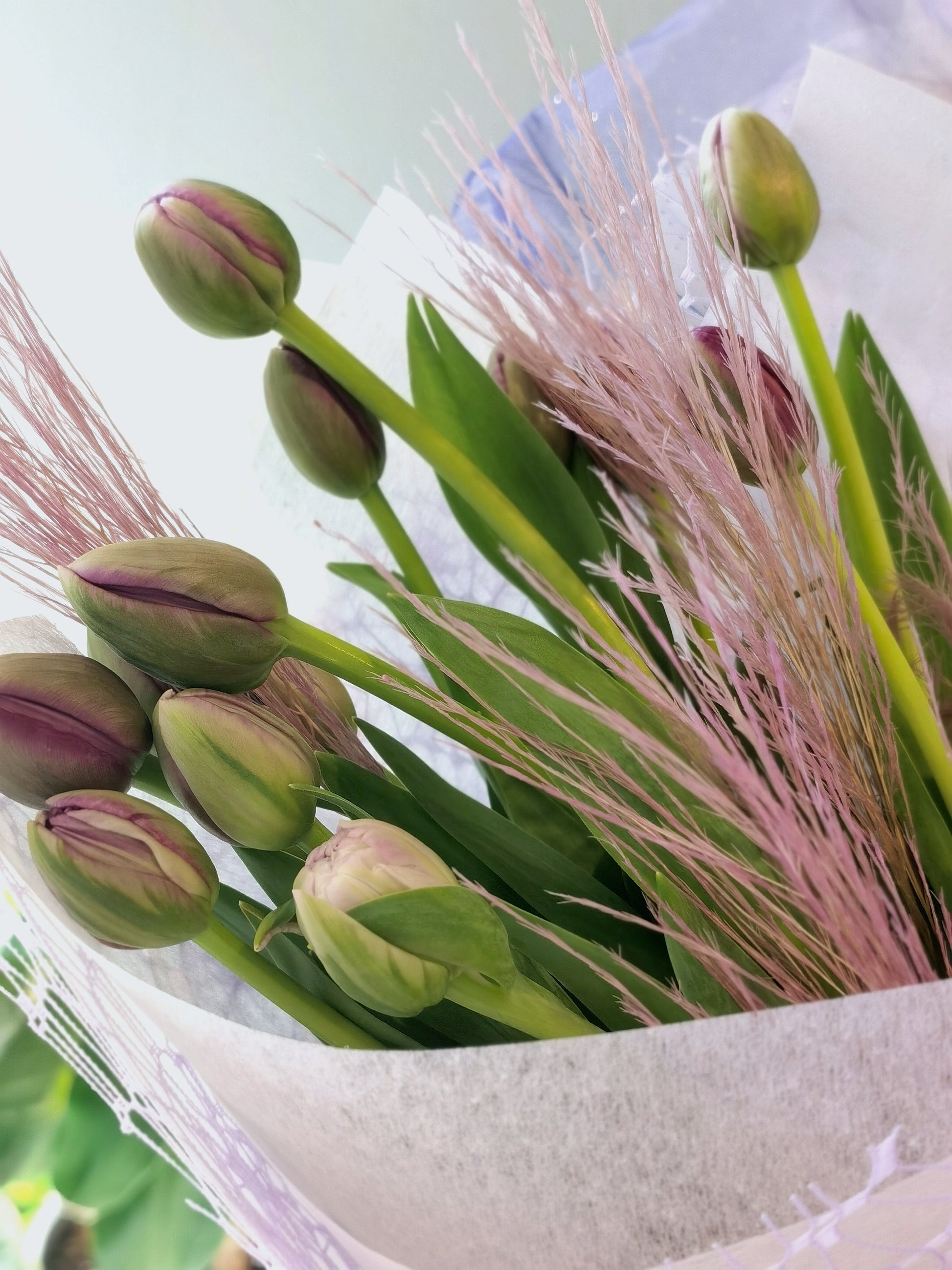 A bouquet of deep purple tulips wrapped in champagne and lilac paper with silvery eucalyptus leaves, which symbolizes endless love and gratitude