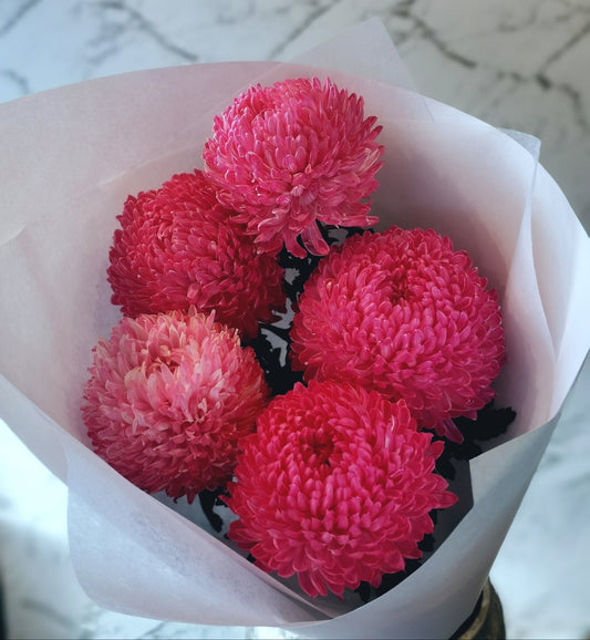 beautiful Disbud Mum Bouquet is perfectly arranged with large, single-headed, long-lasting chrysanthemums in pink and white. 