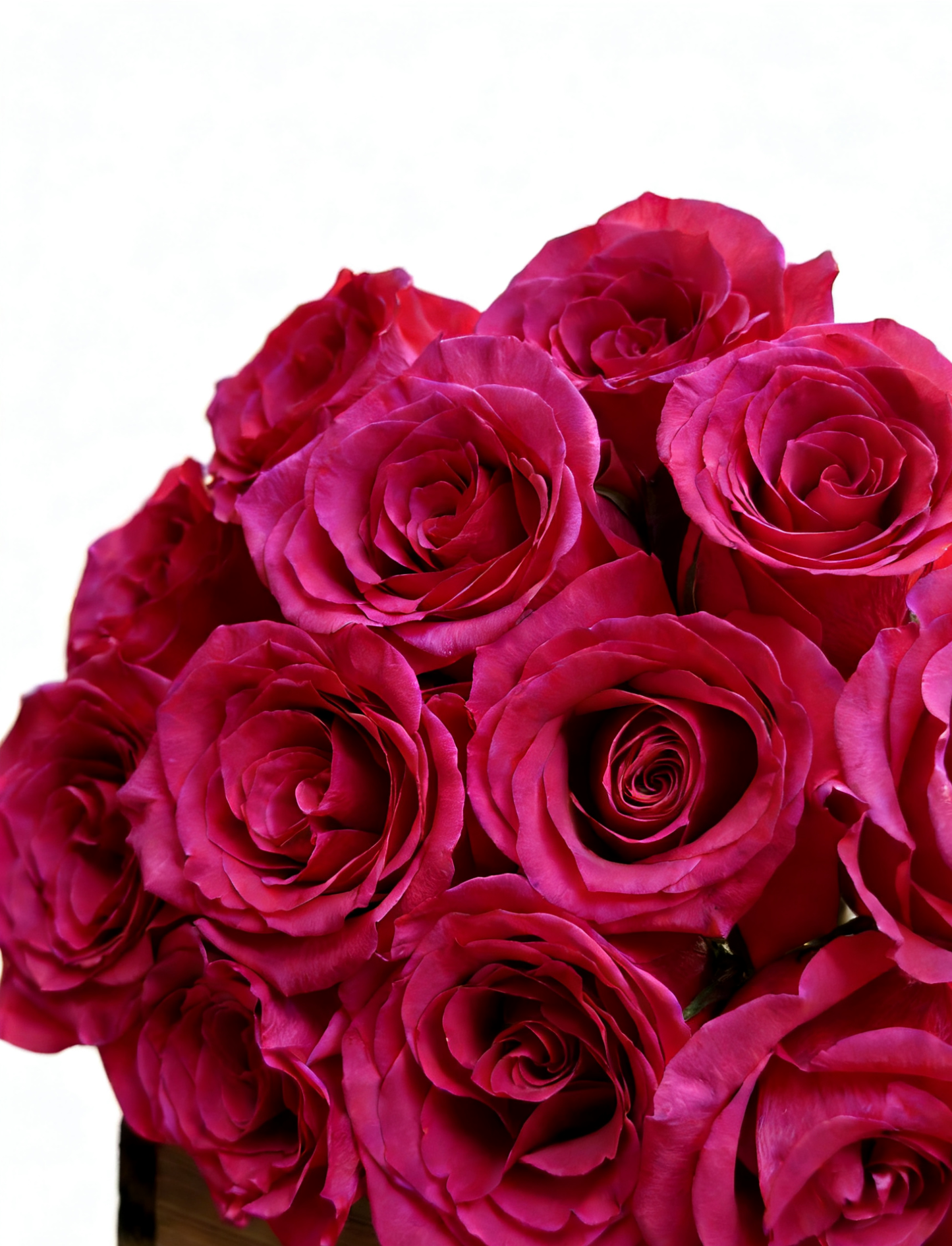 Effortless luxury in every petal. This curated pink rose is understated, elegant, and impossible to ignore. 