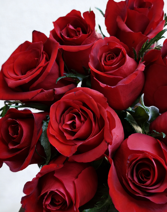 Effortless luxury in every petal. This curated red rose is understated, elegant, and impossible to ignore. 