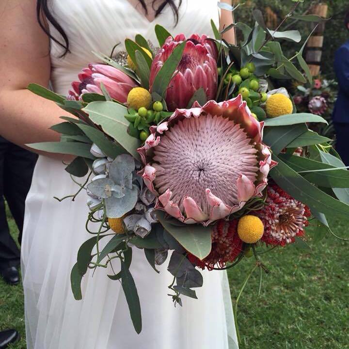 Bouquet with large pink protea flowers held by a person in a white dress outdoors.