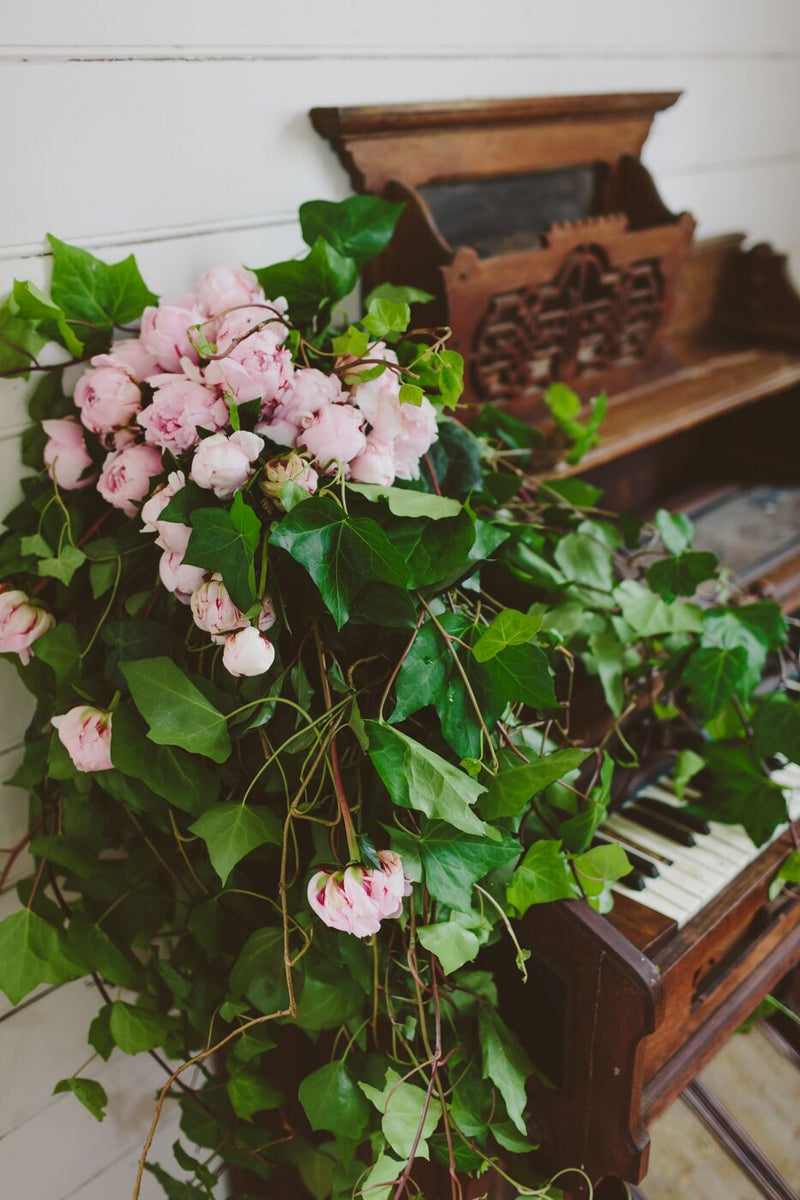Pink flowers and green leaves on a piano