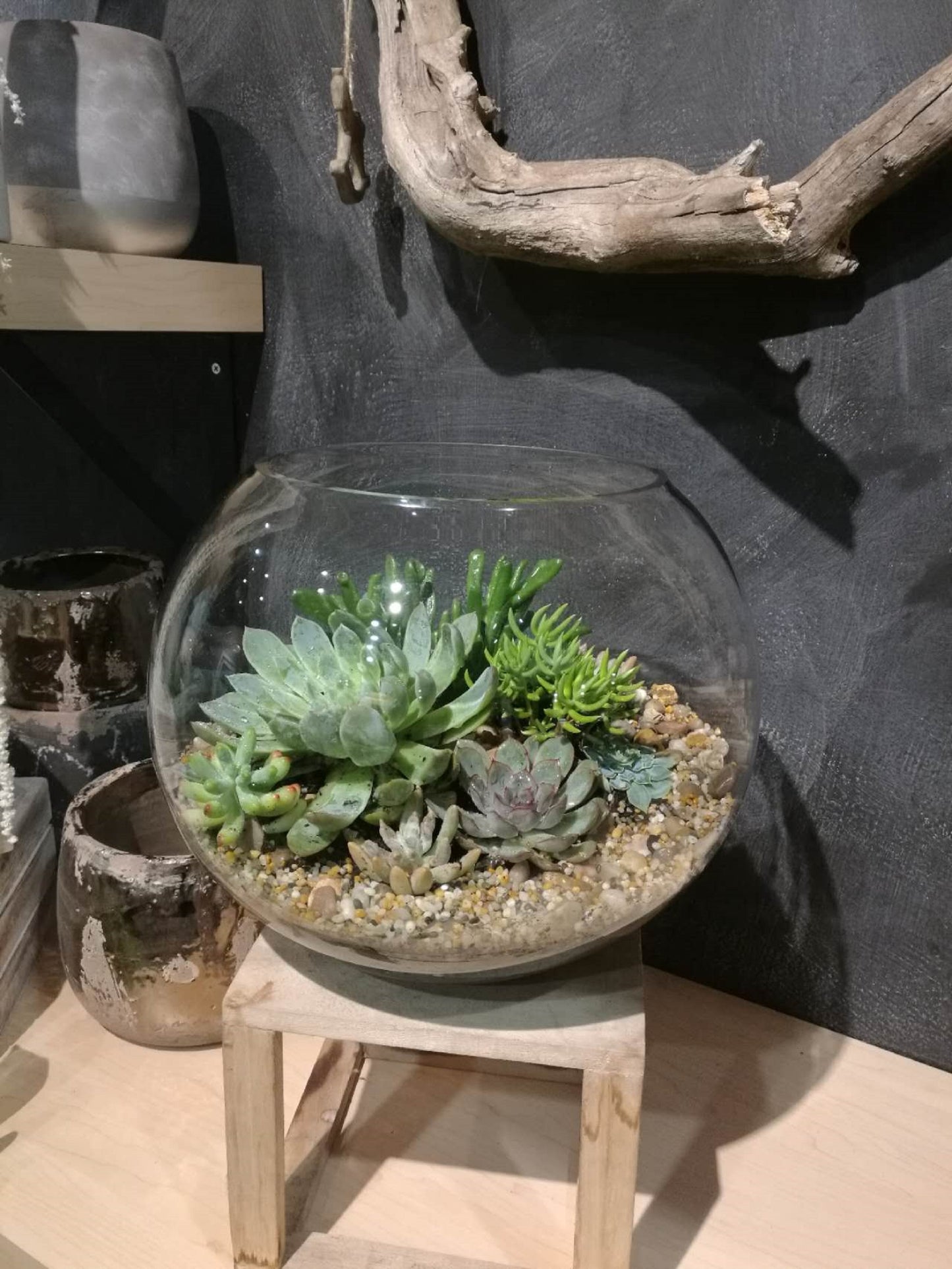Extra Large Glass Bowl Terrarium