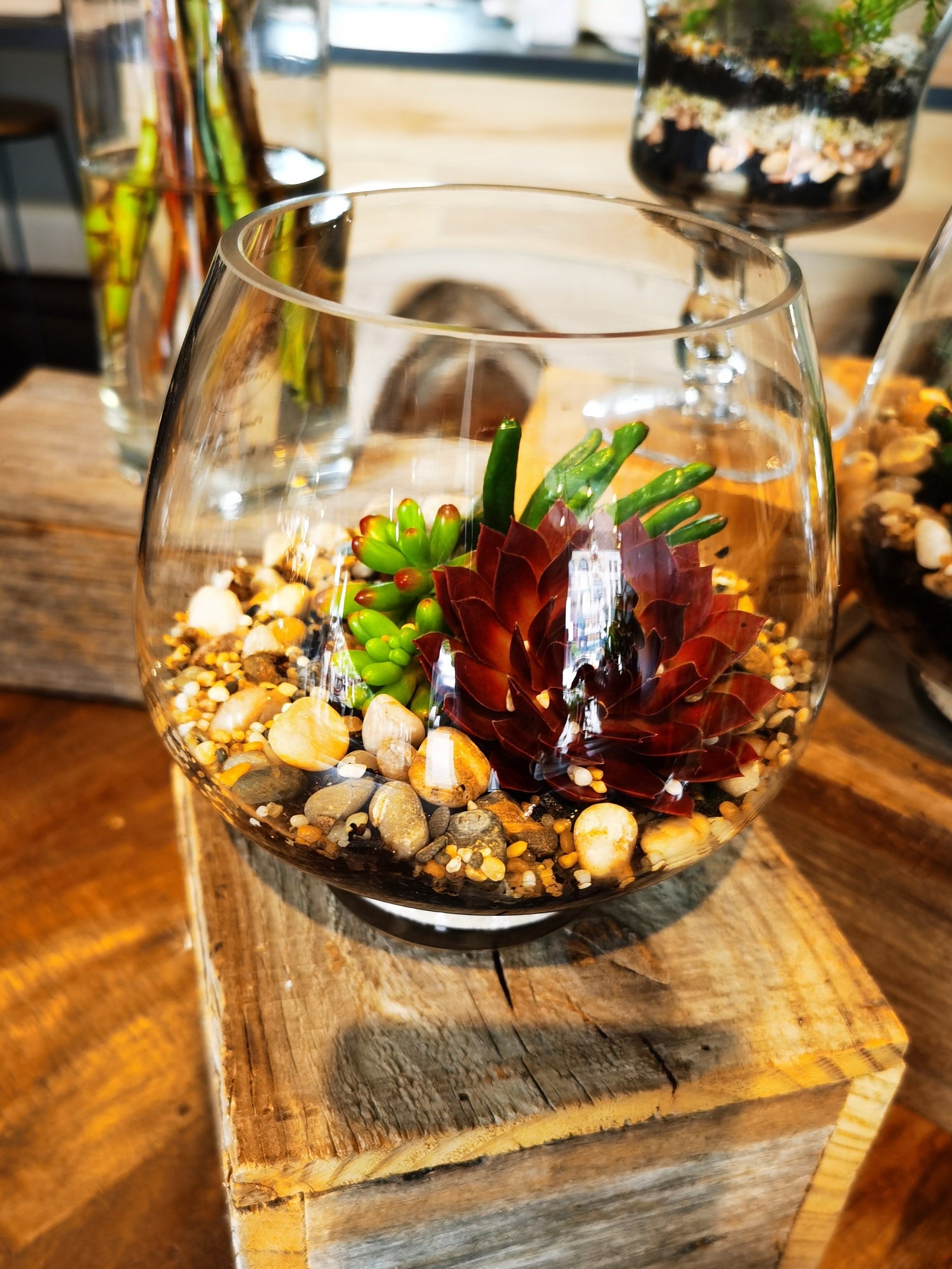 A small glass terrarium with assorted succulent plants.